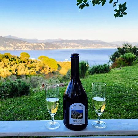 Willa Agriturismo Terre Rosse Portofino Zewnętrze zdjęcie