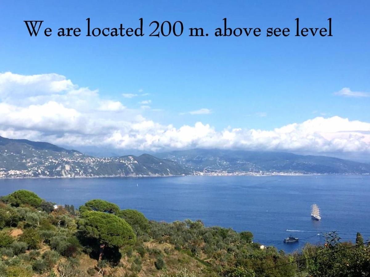 Willa Agriturismo Terre Rosse Portofino Zewnętrze zdjęcie