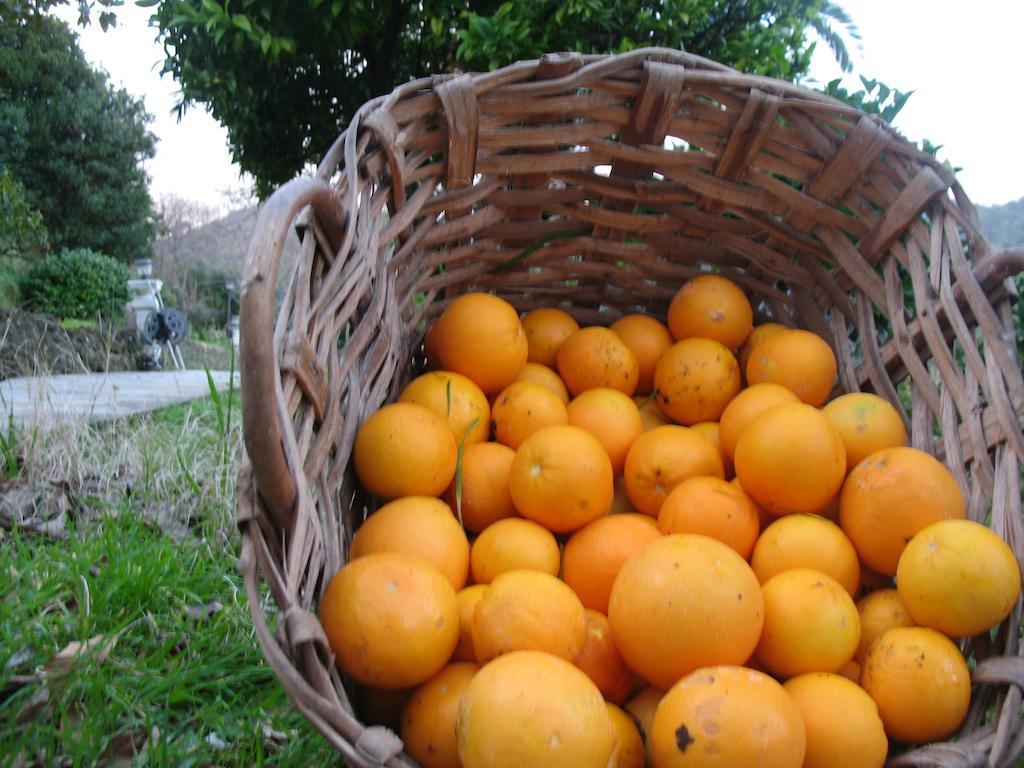 Willa Agriturismo Terre Rosse Portofino Zewnętrze zdjęcie